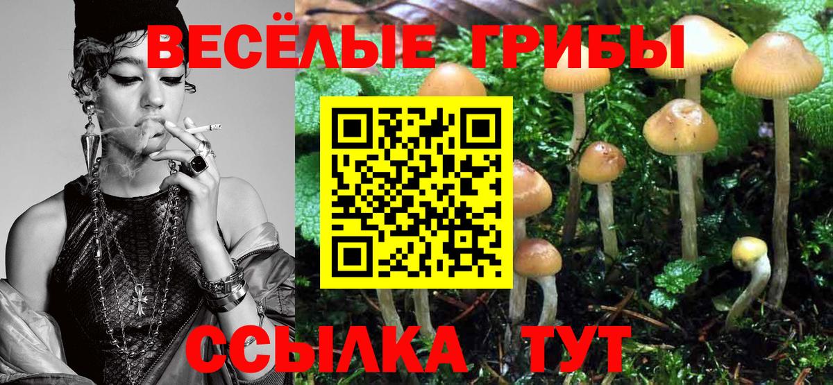 Галлюциногенные грибы Psilocybine cubensis Свободный