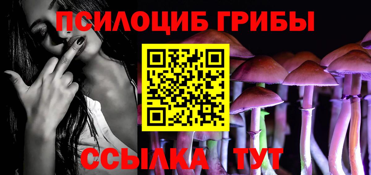 Псилоцибиновые грибы прущие грибы  Вход с VPN  где можно купить   Свободный 